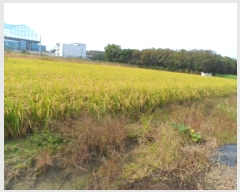  2024Ÿ80218  ϱ ε 1008-15       ()