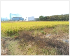  2024Ÿ80218  ϱ ε 1008-15       ()