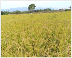  2024Ÿ80218  ϱ ε 1008-15       ()