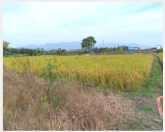  2024Ÿ80218  ϱ ε 1008-15       ()