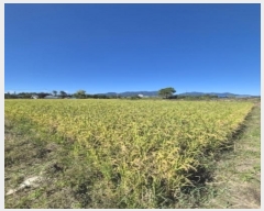  2024Ÿ80218  ϱ ε 1008-15       ()