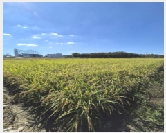  2024Ÿ80218  ϱ ε 1008-15       ()