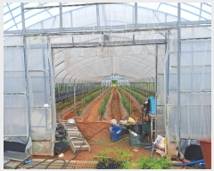  2024Ÿ��81167 ���� ������ ������ ������ 127-1      ����(��1)���