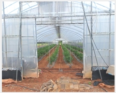  2024Ÿ��81167 ���� ������ ������ ������ 127-1      ����(��1)���