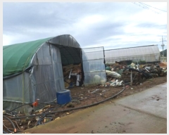  2024Ÿ��81167 ���� ������ ������ ������ 127-1      ����(��1)���