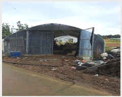  2024Ÿ��81167 ���� ������ ������ ������ 127-1      ����(��1)���