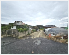  2024Ÿ81419  ֽ  ε 438      ()