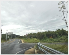  2024Ÿ81419  ֽ  ε 438      ()