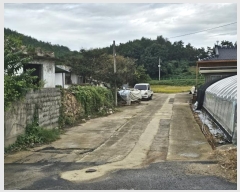  2024Ÿ81419  ֽ  ε 438      ()