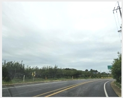  2024Ÿ81419  ֽ  ε 438      ()