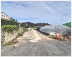  2024Ÿ81419  ֽ  ε 438      ()