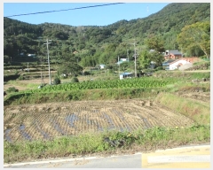  2024Ÿ83026  ȭ  ûø 273      ()