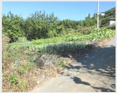  2024Ÿ83026  ȭ  ûø 273      ()