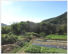  2024Ÿ83026  ȭ  ûø 273      ()