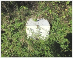  2024Ÿ83026  ȭ  ûø 273      ()