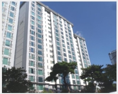  2024Ÿ84524  걸 ӹ358 21, 204 7701ȣ (ϵ,ؼָ 2Ʈ)   Ʈ