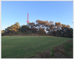  2024Ÿ85411  걸 굿 173       (Ӿ)