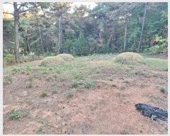  2024Ÿ85411  걸 굿 173       (Ӿ)