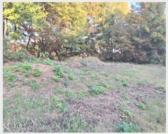  2024Ÿ85411  걸 굿 173       (Ӿ)