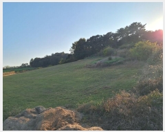  2024Ÿ85411  걸 굿 173       (Ӿ)