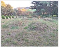  2024Ÿ85411  걸 굿 173       (Ӿ)