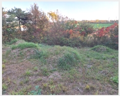  2024Ÿ85411  걸 굿 173       (Ӿ)