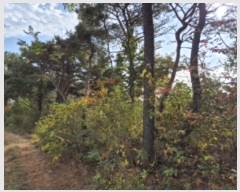  2024Ÿ85411  걸 굿 173       (Ӿ)