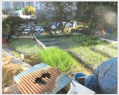  2024Ÿ85527  ȭ ȭ  184-1      (1)