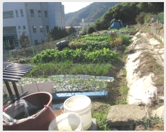  2024Ÿ85527  ȭ ȭ  184-1      (1)