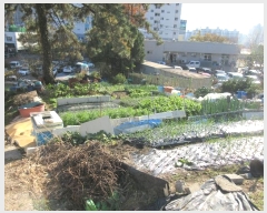  2024Ÿ85527  ȭ ȭ  184-1      (1)