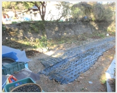  2024Ÿ85527  ȭ ȭ  184-1      (1)