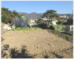  2024Ÿ85527  ȭ ȭ  184-1      (1)