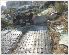  2024Ÿ85527  ȭ ȭ  184-1      (1)