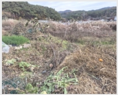  2024Ÿ��85671 ���� �ϱ� �ݰ 910-2       ����(��)���