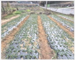  2024Ÿ��85671 ���� �ϱ� �ݰ 910-2       ����(��)���