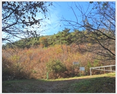  2024Ÿ86278  ֽ ٵ  46      (Ӿ)