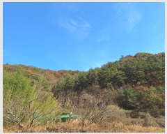  2024Ÿ86278  ֽ ٵ  46      (Ӿ)