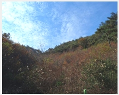  2024Ÿ86278  ֽ ٵ  46      (Ӿ)