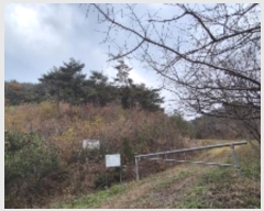  2024Ÿ86278  ֽ ٵ  46      (Ӿ)