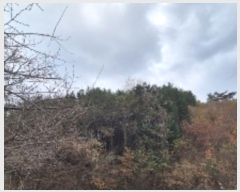  2024Ÿ86278  ֽ ٵ  46      (Ӿ)