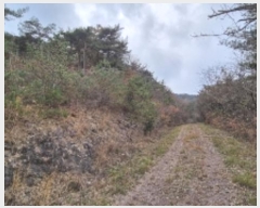  2024Ÿ86278  ֽ ٵ  46      (Ӿ)