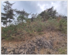  2024Ÿ86278  ֽ ٵ  46      (Ӿ)