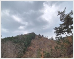  2024Ÿ86278  ֽ ٵ  46      (Ӿ)