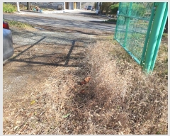  2024Ÿ��86780  ������