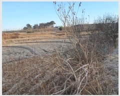  2024Ÿ��89550 ���� ���ֽ� ��Ȳ�� �Ϳ츮 411      ����(��)���