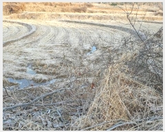  2024Ÿ��89550 ���� ���ֽ� ��Ȳ�� �Ϳ츮 411      ����(��)���