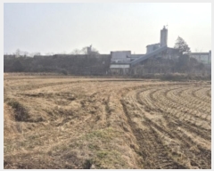  2024Ÿ��89550 ���� ���ֽ� ��Ȳ�� �Ϳ츮 411      ����(��)���