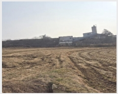  2024Ÿ��89550 ���� ���ֽ� ��Ȳ�� �Ϳ츮 411      ����(��)���