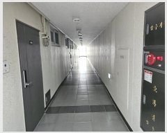  2024Ÿ63350  걸 ÷߾ӷ170 87, 202 11 1109ȣ (־ϵ,÷ܼƮũ2)   ټ,