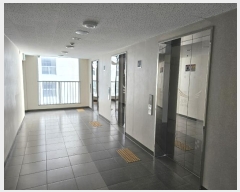  2024Ÿ63350  걸 ÷߾ӷ170 87, 202 11 1109ȣ (־ϵ,÷ܼƮũ2)   ټ,